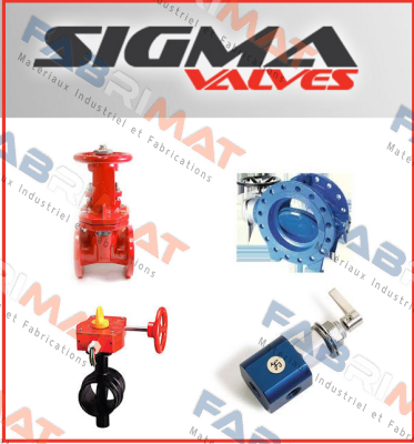 Sigma Valves logo