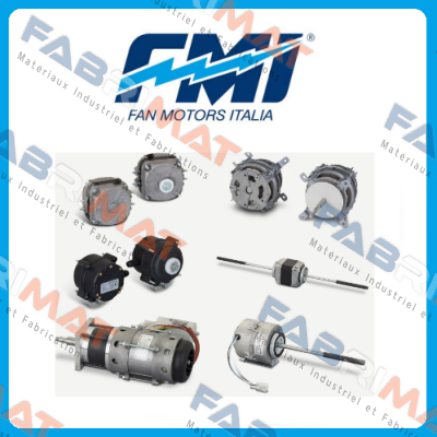 FMI (Fan Motors Italia) logo