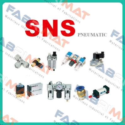 SNS Pneumatic logo