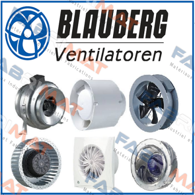 Blauberg logo