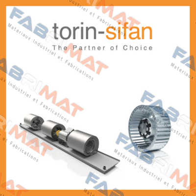 Torin-Sifan logo