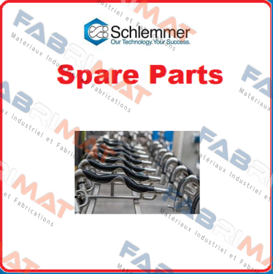 Schlemmer-9806166 (pack 1x500) price