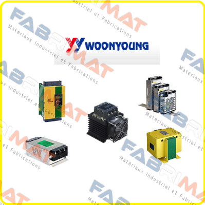 WOONYOUNG-952-62 (300VA) price