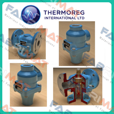 Thermoreg-M65TC8D-100-HA price