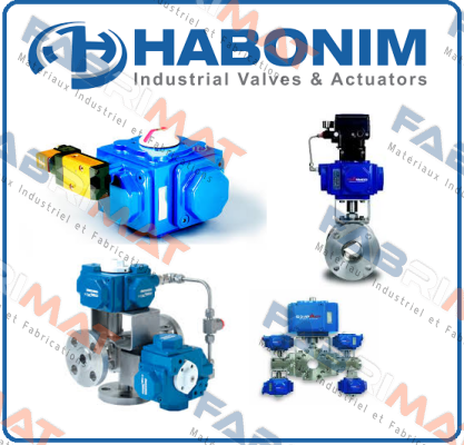 Habonim-10-W32P-666MKG/300-HC+MK+C302A2B-V price