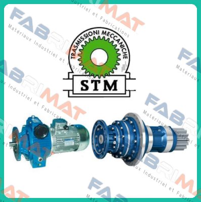 STM S.P.A.-BMU 40 F1 price