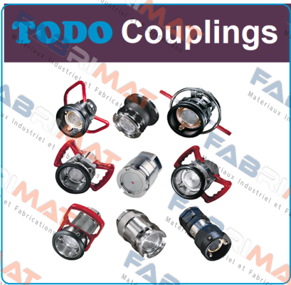 Todo-TODO-Matic-MT DN 50 / 2"IG-BSP price