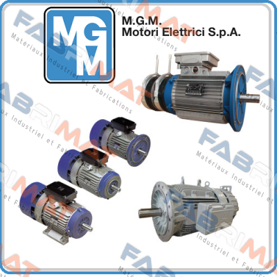 M.G.M MOTORI-engine with brake for Typ. BM 71 C2 price