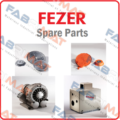 Fezer-1.33.2.0120 price