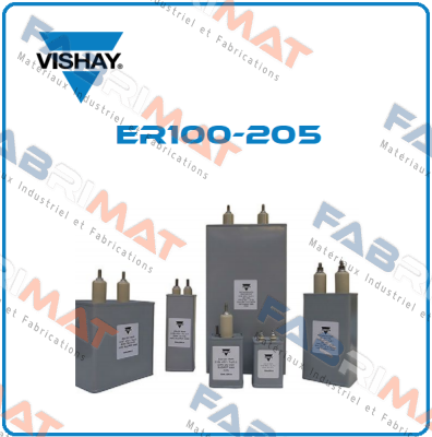 Vishay-ER100-205 price