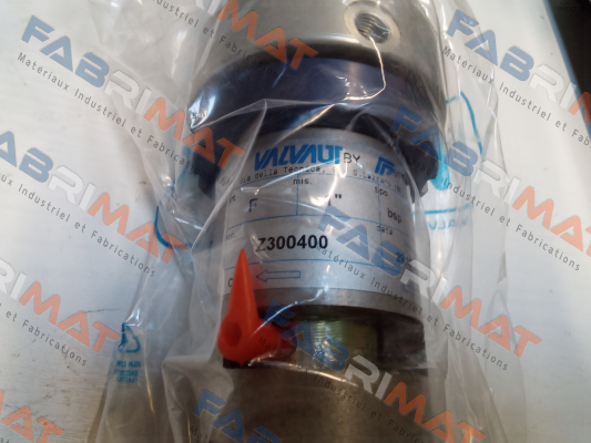 Valvaut-Z300400 price