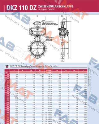 Warex-DN 200/AT 60. DR/PMV, Typ: EP 5 price