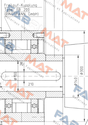 Ringspann-FB 200 price