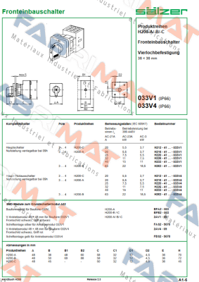 Salzer-H263-41300-033V4 price