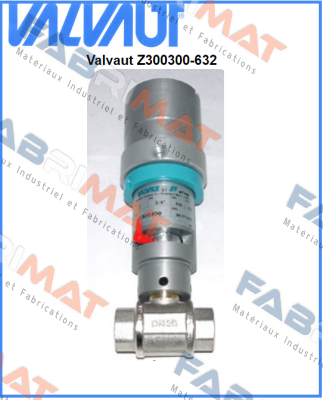 Valvaut-Z300300 price