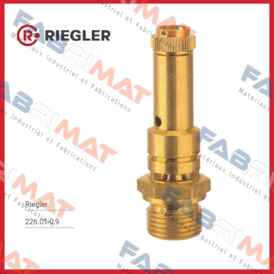 Riegler-226.01-0,9 price