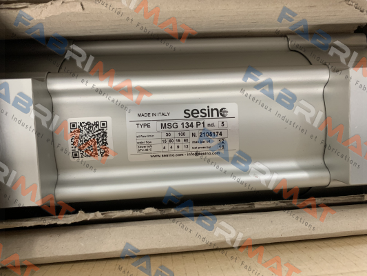 Sesino-MSG 134 P1 (SCMSG134P1) price