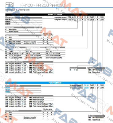 MP Filtri-FRI-100-B-A-G1-A25-N-P01 price